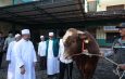 Plh. Wali Kota Bekasi Serahkan Bantuan Sapi Qurban Presiden di Masjid Al Mukhlisin Jatiasih