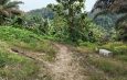 DIJAJAH DI TANAH SENDIRI: OKNUM PTPN VIII SUB AFDELING BOJONG TERONG PUNGUT UANG SEWA / BAGI HASIL PADAHAL HGU SUDAH MATI 2003