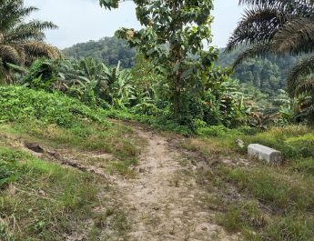 DIJAJAH DI TANAH SENDIRI: OKNUM PTPN VIII SUB AFDELING BOJONG TERONG PUNGUT UANG SEWA / BAGI HASIL PADAHAL HGU SUDAH MATI 2003