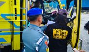 TNI AL Perketat Pengawasan, Pengiriman Kayu Ilegal Berhasil Digagalkan