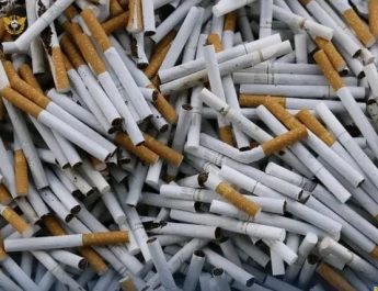 Intensifkan Operasi Pengawasan, Bea Cukai Bogor Tindak Lebih dari 6 Juta Batang Rokok Ilegal